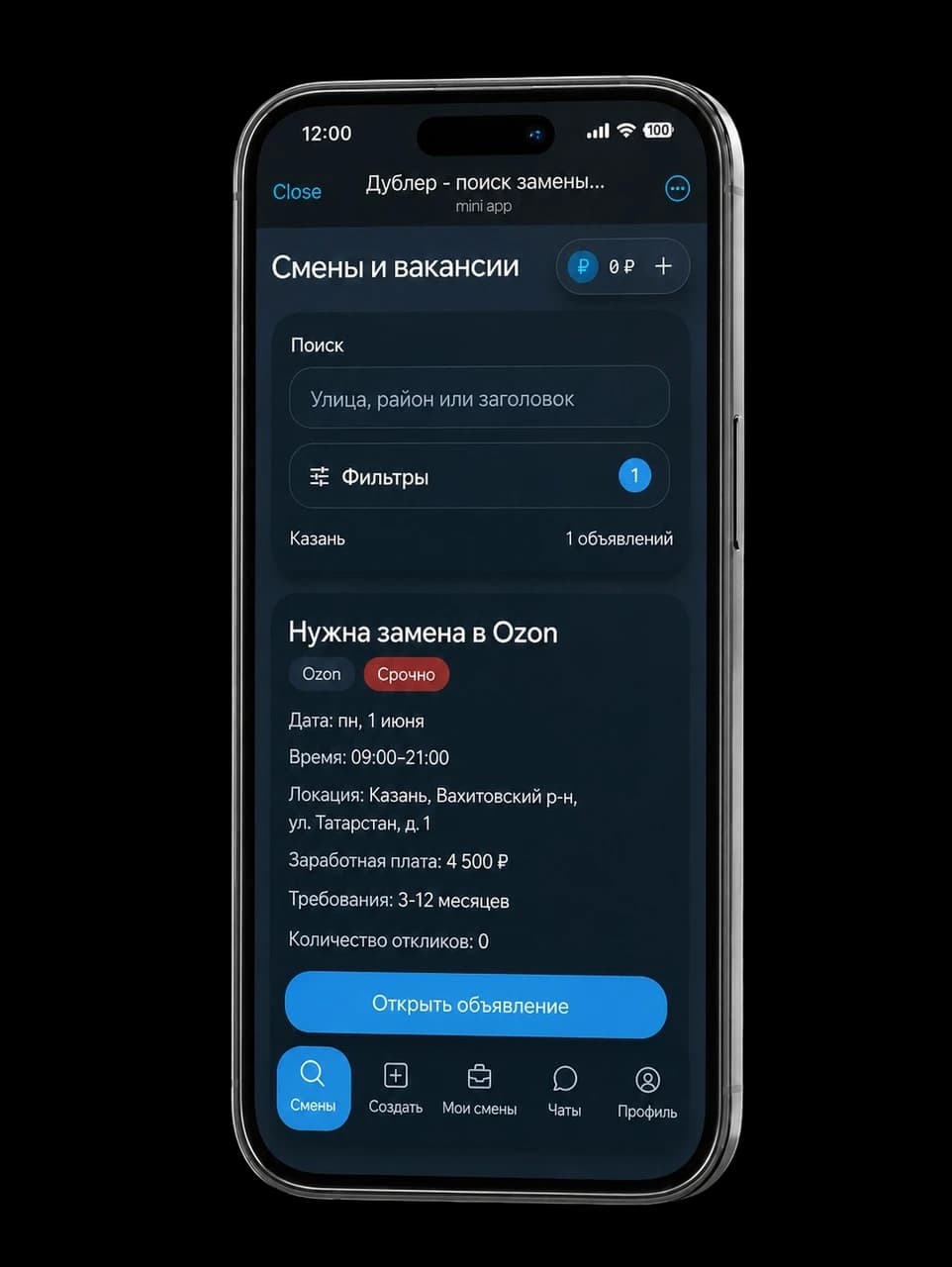 Экран приложения Дублер в телефоне